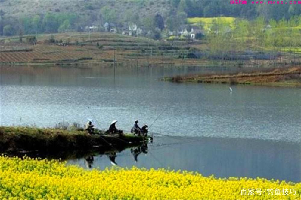 春钓鲤鱼，钓位选择的3大策略，找鲤鱼扎堆