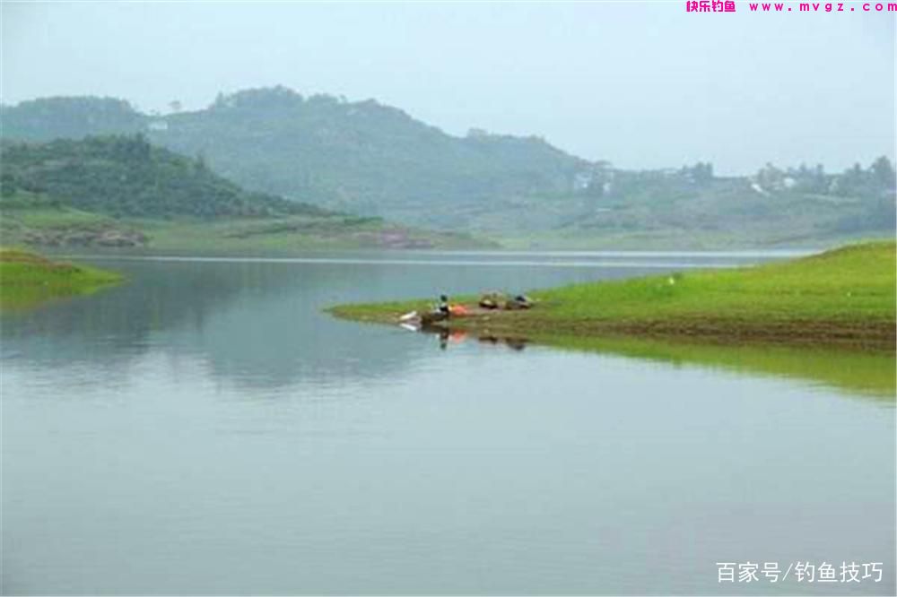 春季钓鲤鱼，核心秘诀有4条，这些招数要常