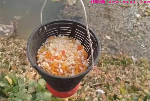 钓鲤鱼，只要掌握3大技巧，钓多少，你来定