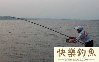 钓青鱼的四个技巧及中鱼扬竿事项