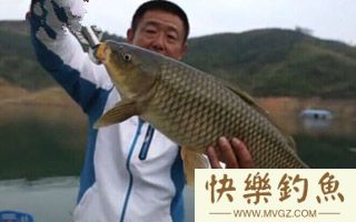 实战分析35年钓鱼老者如何垂钓大青鱼