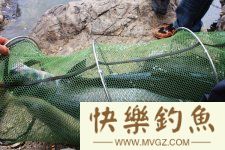 钓青鱼的四大要点及五大引遛技巧详解