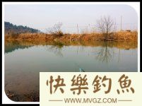 拆迁塘探钓渔获大丰-大鳊鱼大鲤鱼