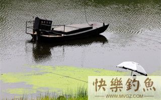 野外垂钓的钓具选择经验之我见