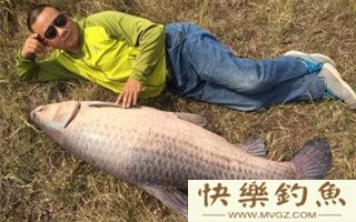 野钓青鱼的技巧（钓具、用饵、钓点选择）