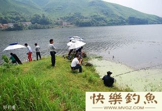 春钓钓位的选择技巧