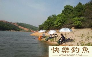 秋季水库钓鱼的技巧及青鱼的钓法