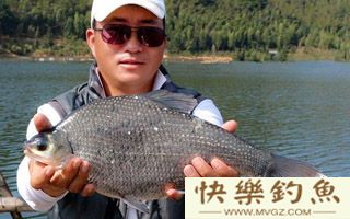 钓鳊鱼的4类饵料与一实战钓法