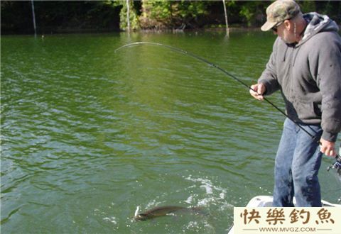 秋季水库野钓鳊鱼的那些细节，这里都有