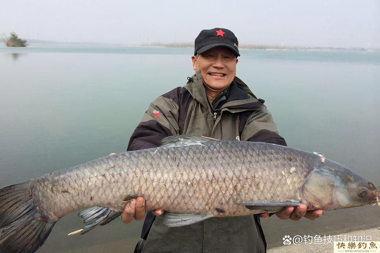 初春如何钓青鱼？初春钓青鱼的4个小妙招