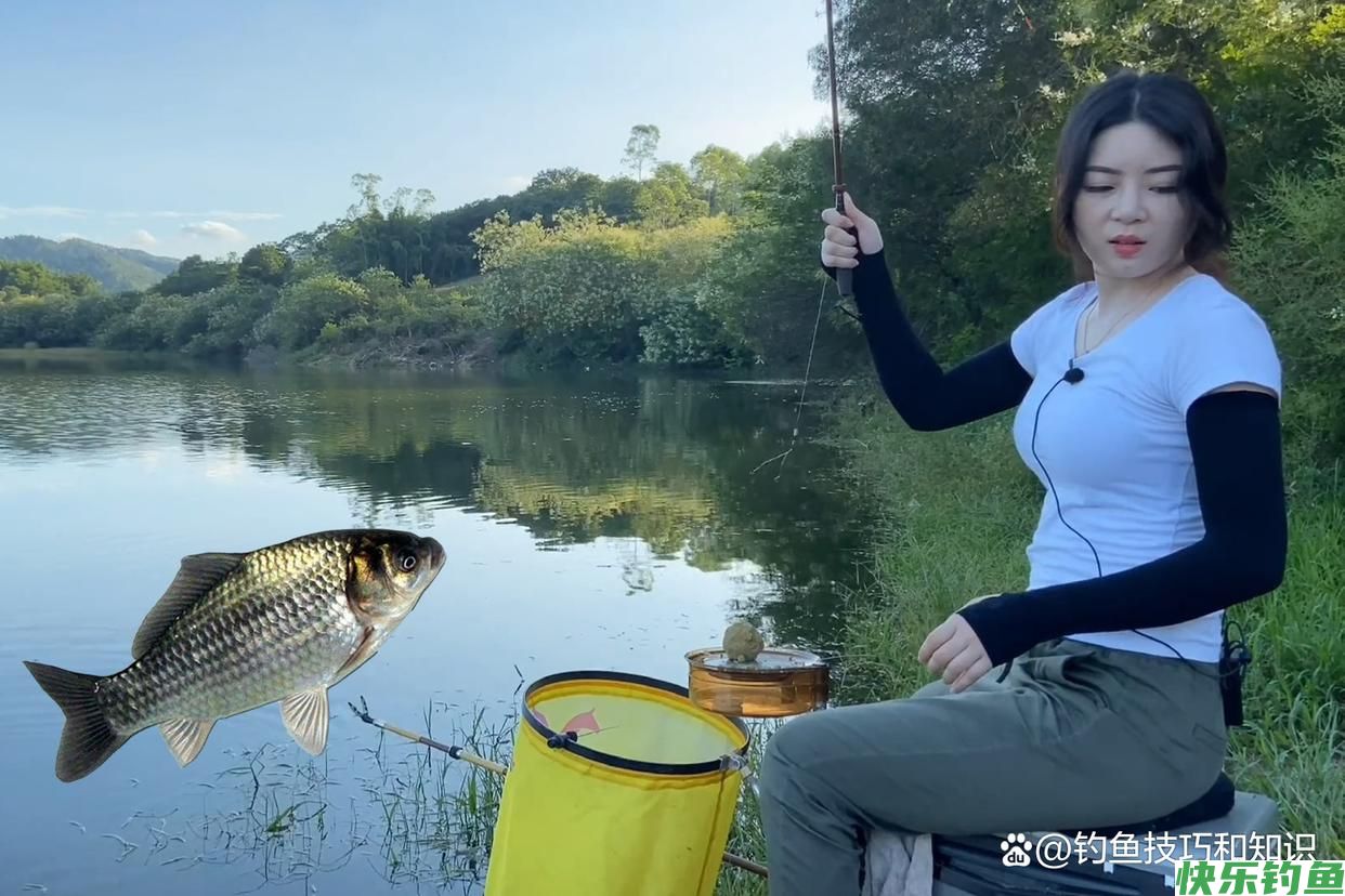野钓鲫鱼时如何让鱼饥饿抢食？促进野生鲫鱼