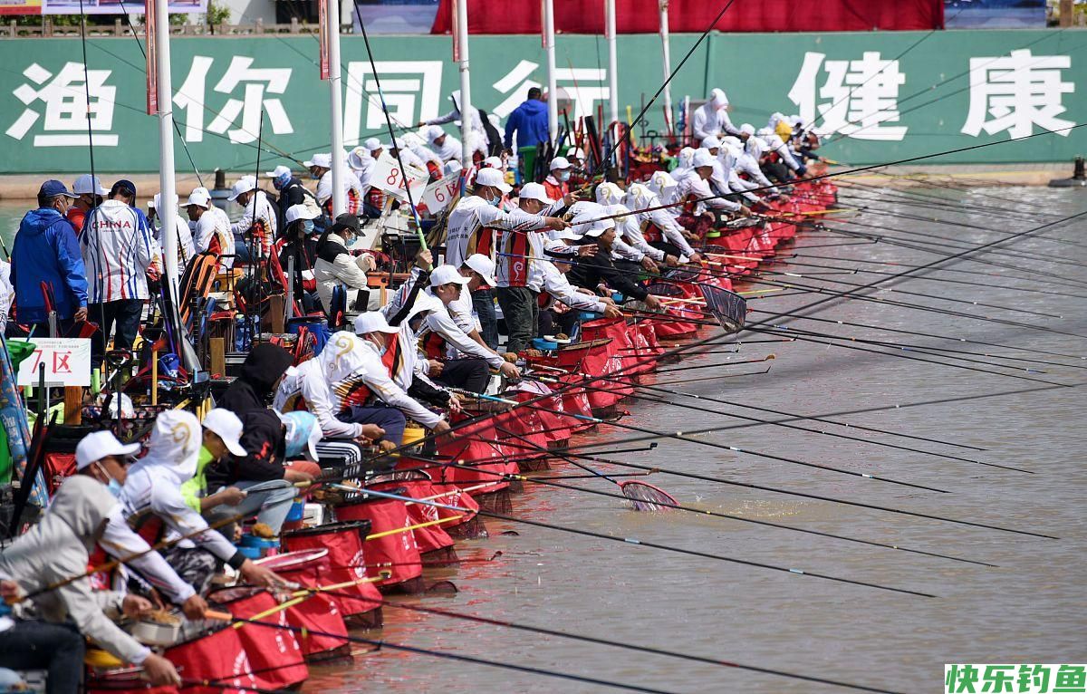 黑坑钓鱼就是比野钓难度大，从钓黑坑需要注