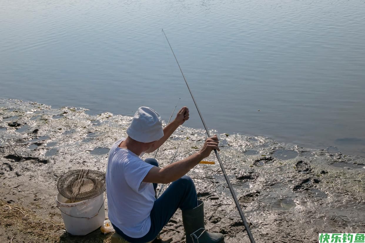 如何制作香饵？主要钓什么鱼？