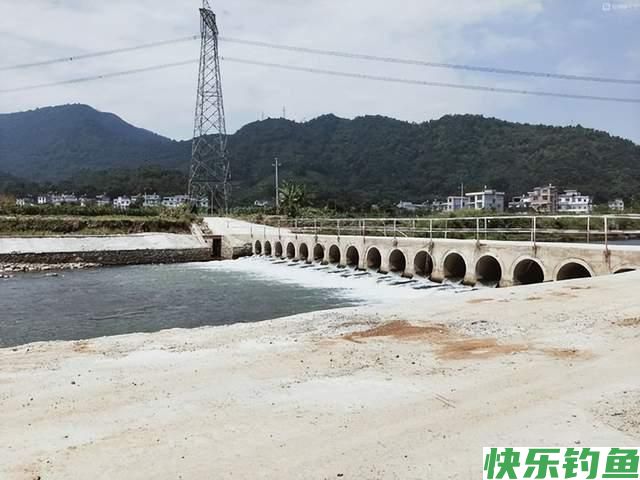 春季野钓激流，鳊鱼胡子鲶大黄尾，钓法很重