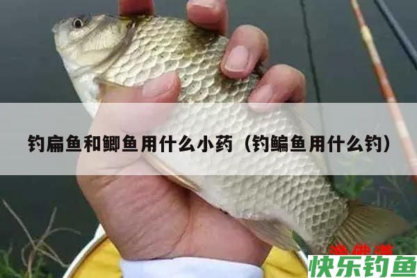 钓鳊鱼和鲫鱼用什么小药（钓鳊鱼用什么钓）