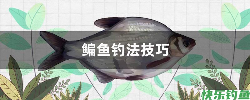 鳊鱼钓法技巧。。