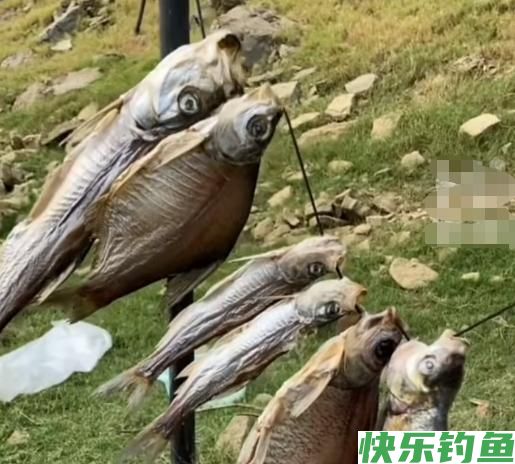 会钓鱼有多重要，贵阳突发疫情，小伙钓鱼回