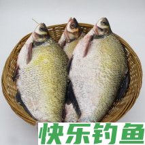 鳊鱼怎么钓才能钓得更多