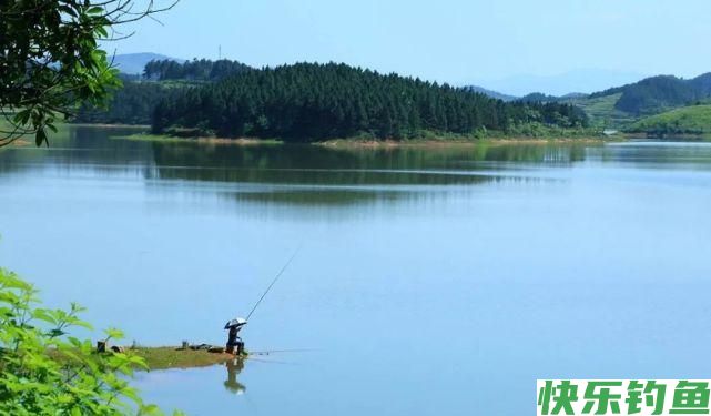 春季钓鳊鱼的5个秘诀，掌握了以后，钓鳊鱼