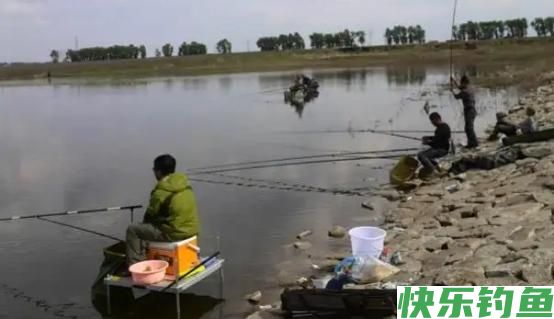 春季怎么钓鳊鱼？这2大“绝杀技巧”，有鳊