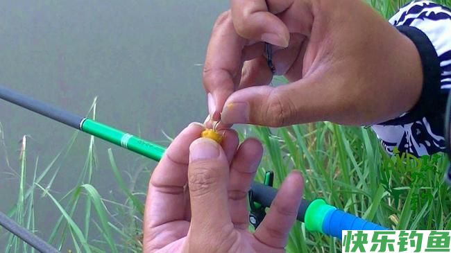 钓鳊鱼用什么饵料最好？（爆护配方）