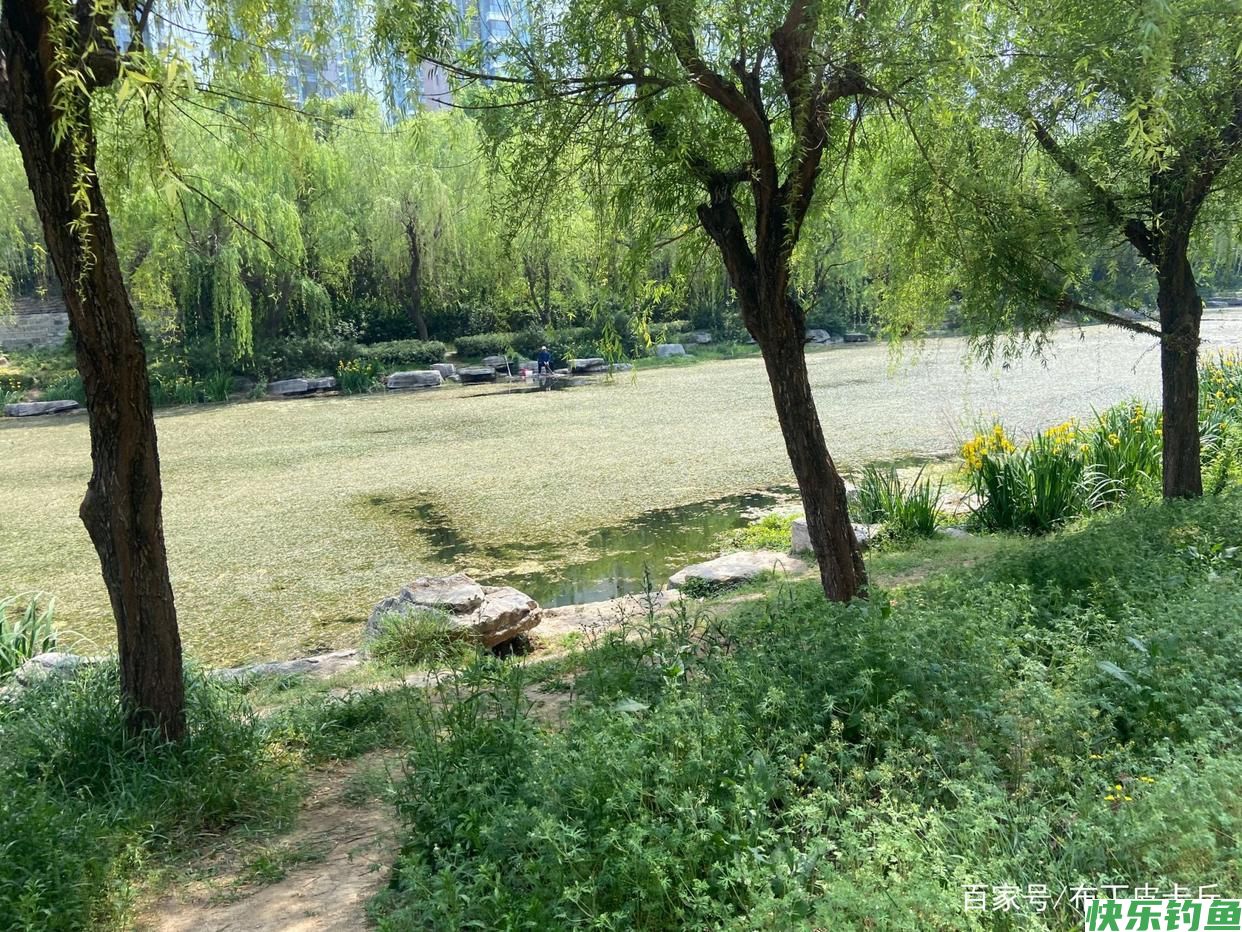 垂钓鳊鱼钓位以及饵料一定要注意，渔获才能