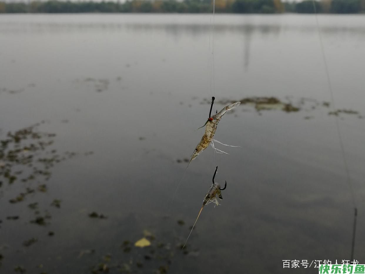 长江里钓鳊鱼，这6种都是常用饵，最后一种