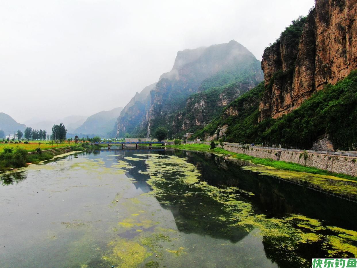 钓鱼人要重视！各地规定不同，北京“马口鱼