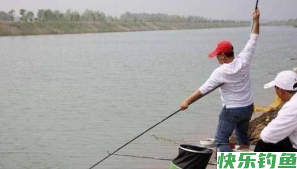 用这方法钓鳊鱼，鱼获基本都不会少，别说我