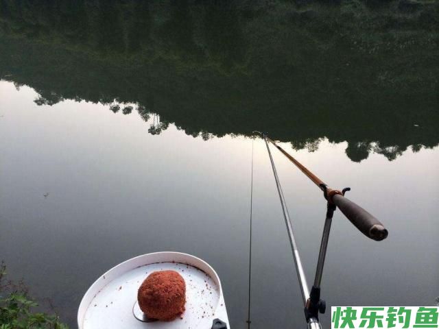 如何钓鳊鱼？怎样让鳊鱼快速上钩？有几种方