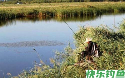 天一热鳊鱼最好钓，牢记这三点技巧，轻松爆