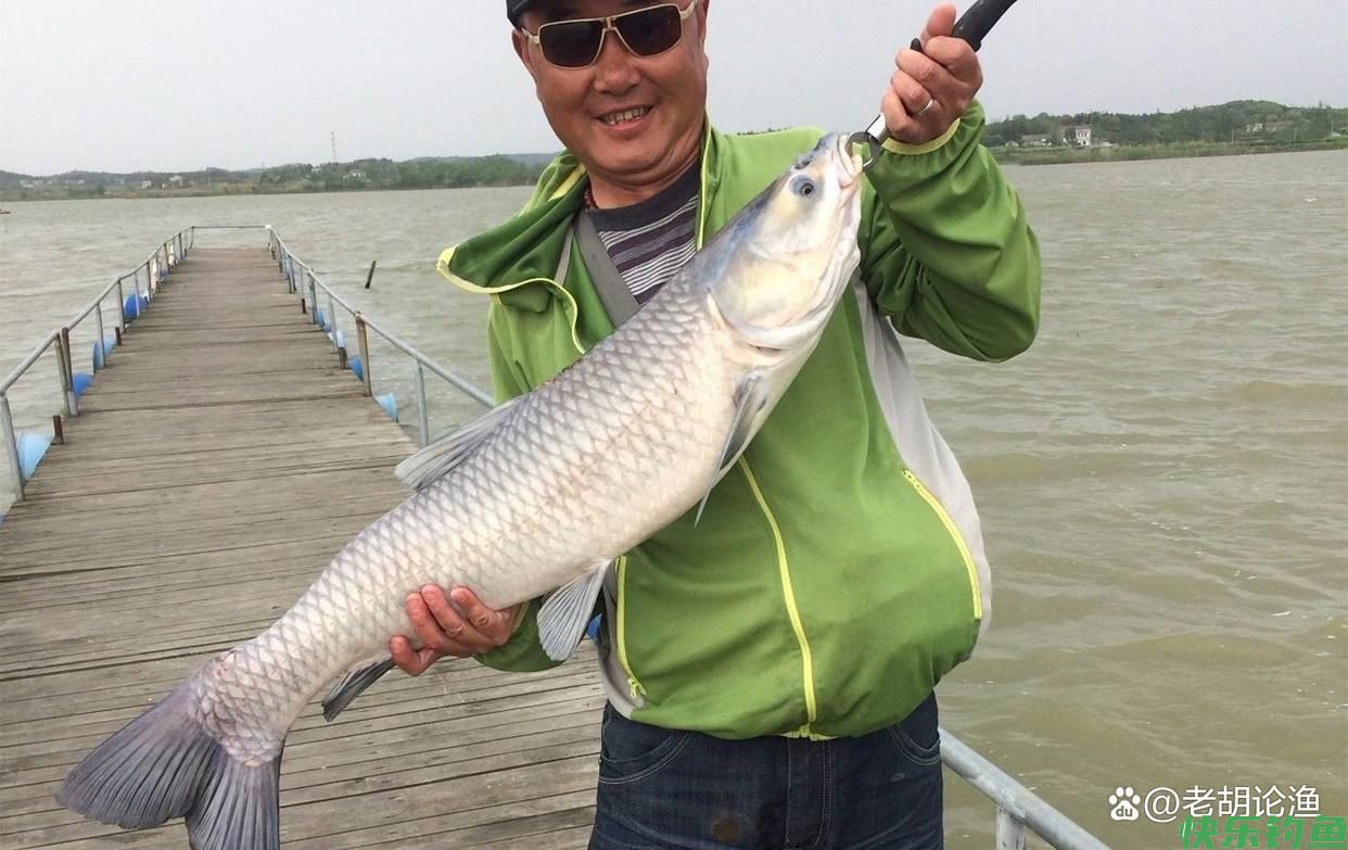 守钓青鱼难度大？灵活运用这2个技巧，让你