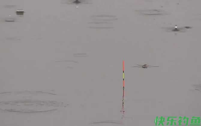 调三目钓三目最准确的方法