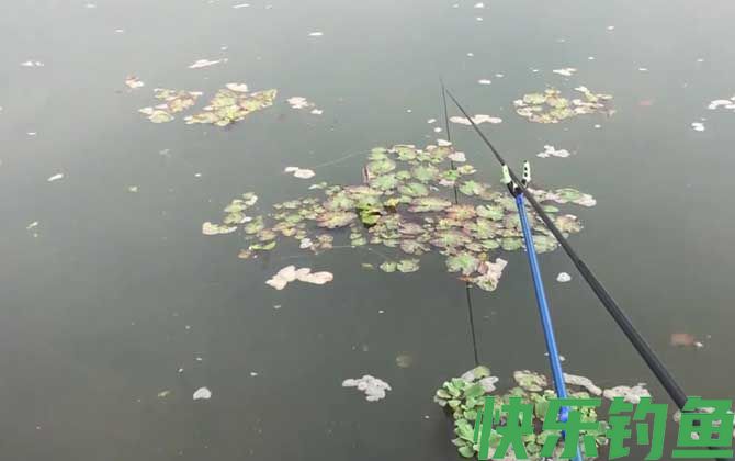 野钓直接用饵料打窝可以吗？