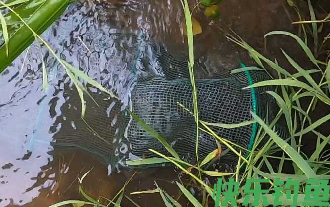 地笼捕鱼技巧及方法