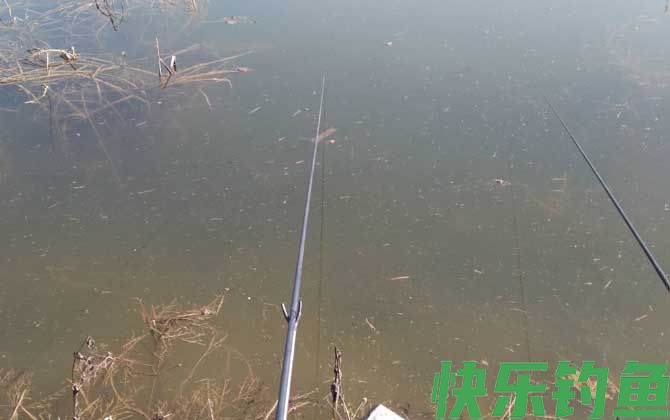 水库钓鱼