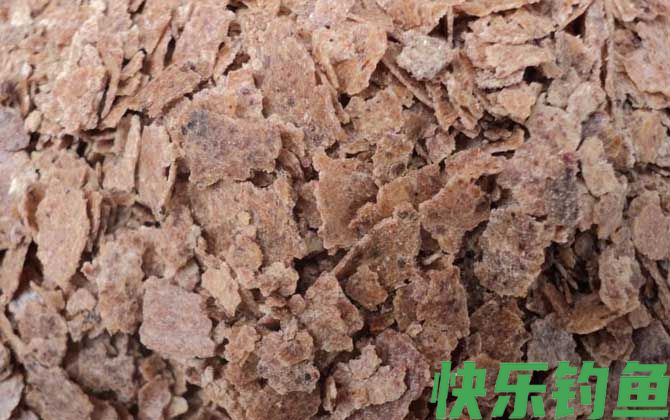 鲮鱼饵料大全及简单用法