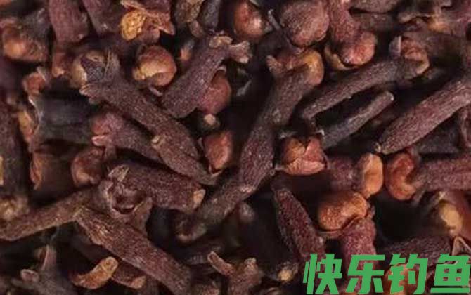 钓鱼为什么禁止用丁香？