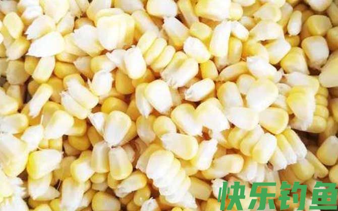 嫩玉米怎么泡制好钓鱼？
