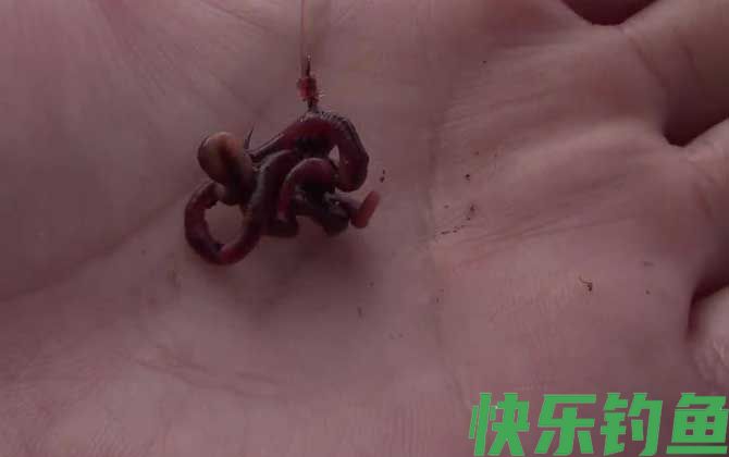 深秋钓鱼用什么饵料最好？