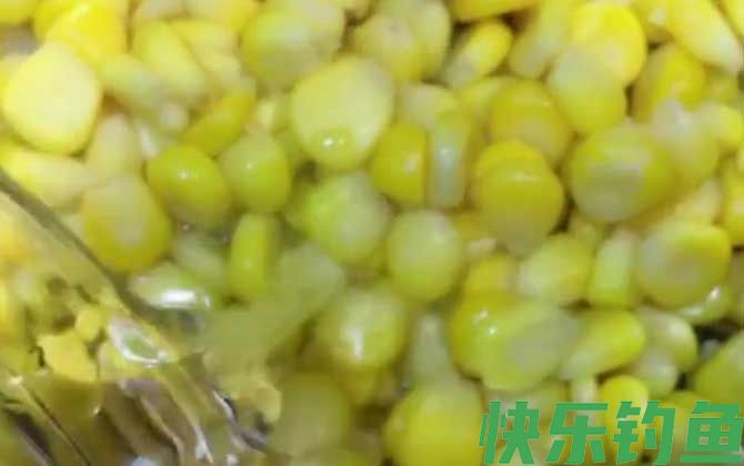 嫩玉米饵料泡制配方大全