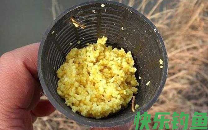 春季钓鱼用什么打窝最好？