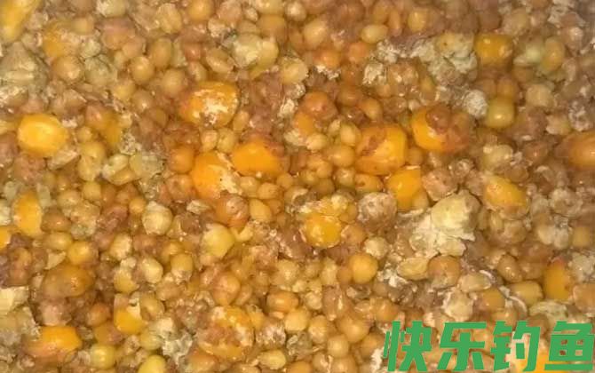 钓草鱼老玉米怎么泡制？