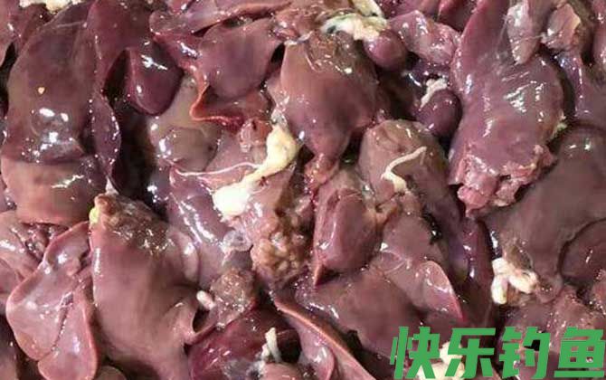 鸡肝钓鱼用什么打窝？