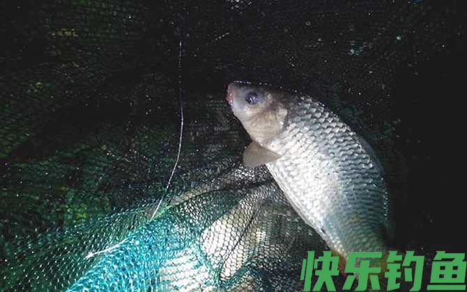 夜钓提前多久打窝最佳？