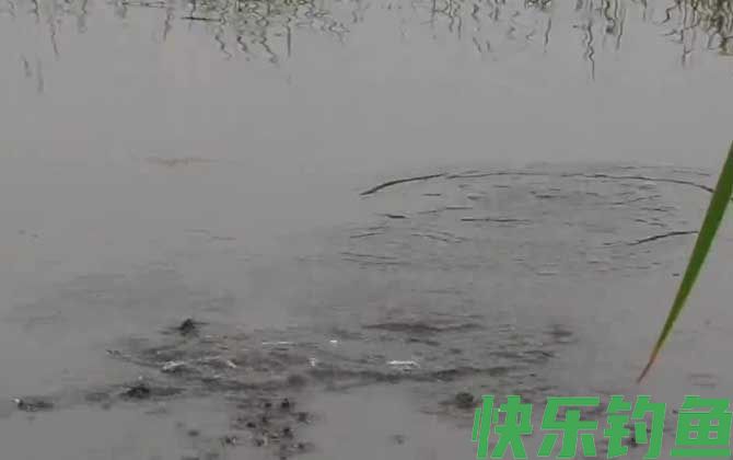 六月天钓鱼深度多深为好？