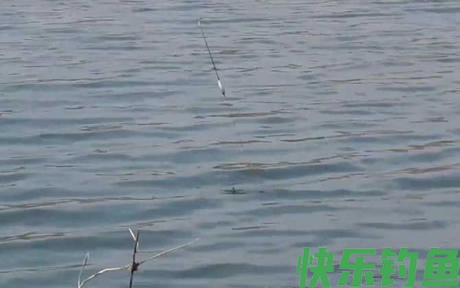 二月钓鱼最佳时间是什么时候？