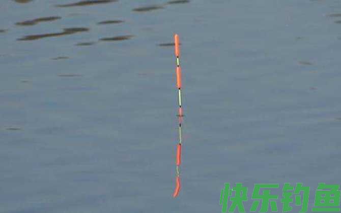 标准下顿口提竿不中鱼什么原因？