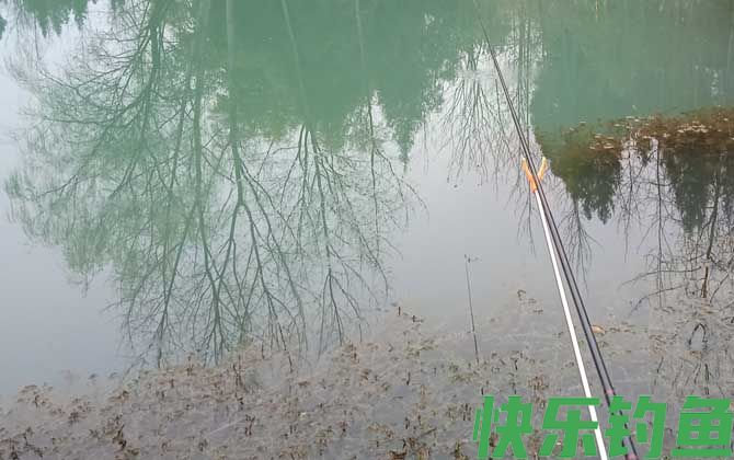 冬季钓鱼什么时间开口最好？