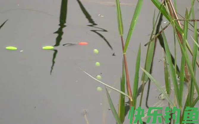 夏天中午好钓鱼吗？